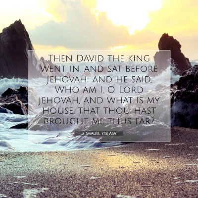 Picture 07 - 2 Samuel 7:18 ASV - Then David the king went in, and sat before - Bible Verse Picture