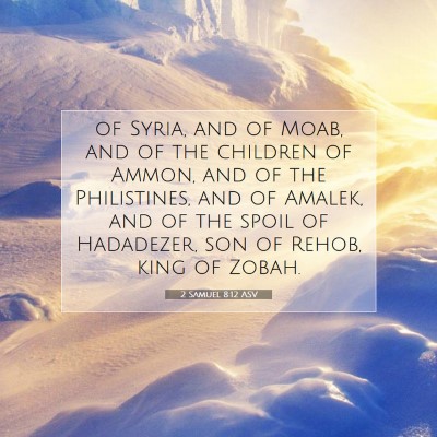 Picture 07 - 2 Samuel 8:12 ASV - of Syria, and of Moab, and of the children of - Bible Verse Picture