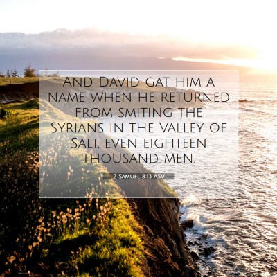 Picture 07 - 2 Samuel 8:13 ASV - And David gat him a name when he returned from - Bible Verse Picture
