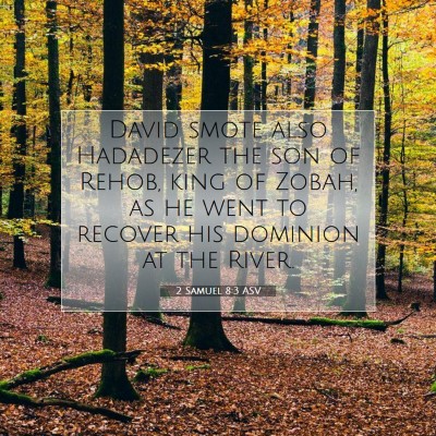 Picture 07 - 2 Samuel 8:3 ASV - David smote also Hadadezer the son of Rehob, king - Bible Verse Picture