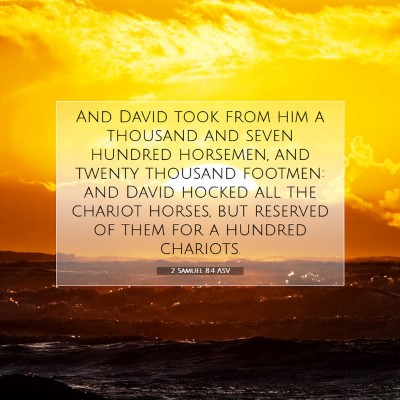 Picture 07 - 2 Samuel 8:4 ASV - And David took from him a thousand and seven - Bible Verse Picture