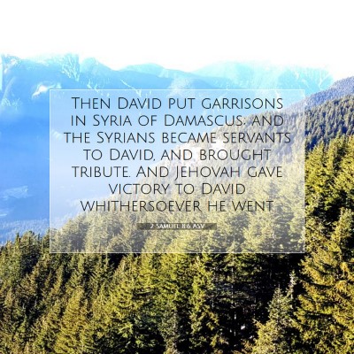 Picture 07 - 2 Samuel 8:6 ASV - Then David put garrisons in Syria of Damascus; - Bible Verse Picture