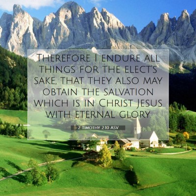 Picture 07 - 2 Timothy 2:10 ASV - Therefore I endure all things for the elect's - Bible Verse Picture