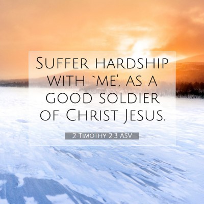 Picture 07 - 2 Timothy 2:3 ASV - Suffer hardship with `me', as a good soldier of - Bible Verse Picture