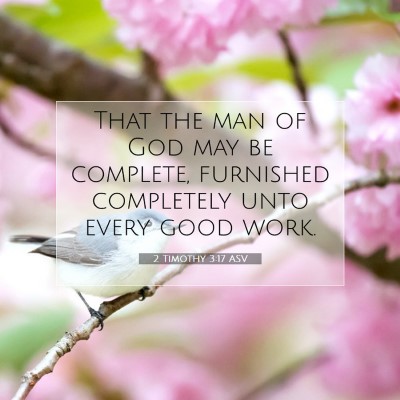 Picture 07 - 2 Timothy 3:17 ASV - That the man of God may be complete, furnished - Bible Verse Picture