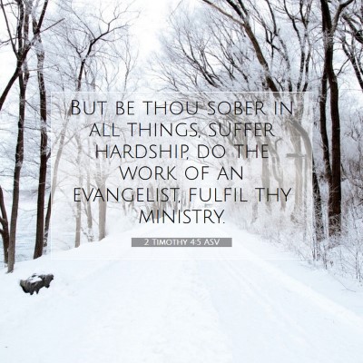 Picture 07 - 2 Timothy 4:5 ASV - But be thou sober in all things, suffer hardship, - Bible Verse Picture