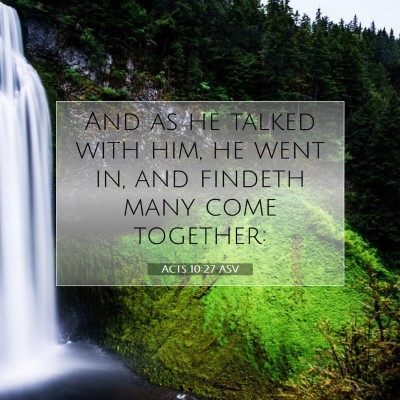 Picture 07 - Acts 10:27 ASV - And as he talked with him, he went in, and - Bible Verse Picture