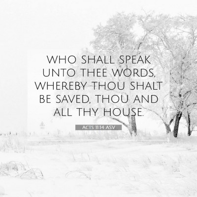 Picture 07 - Acts 11:14 ASV - who shall speak unto thee words, whereby thou - Bible Verse Picture