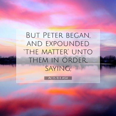 Picture 07 - Acts 11:4 ASV - But Peter began, and expounded `the matter' unto - Bible Verse Picture