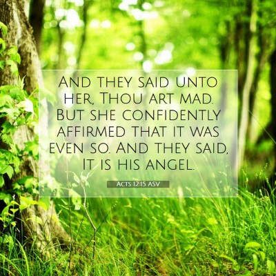 Picture 07 - Acts 12:15 ASV - And they said unto her, Thou art mad. But she - Bible Verse Picture