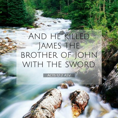 Picture 07 - Acts 12:2 ASV - And he killed James the brother of John with the - Bible Verse Picture
