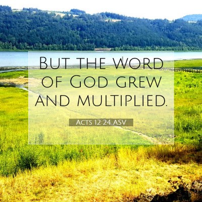 Picture 07 - Acts 12:24 ASV - But the word of God grew and - Bible Verse Picture