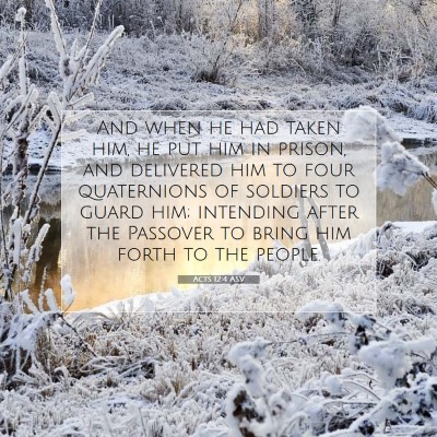 Picture 07 - Acts 12:4 ASV - And when he had taken him, he put him in prison, - Bible Verse Picture