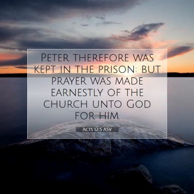 Picture 07 - Acts 12:5 ASV - Peter therefore was kept in the prison: but - Bible Verse Picture