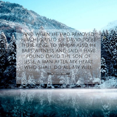 Picture 07 - Acts 13:22 ASV - And when he had removed him, he raised up David - Bible Verse Picture