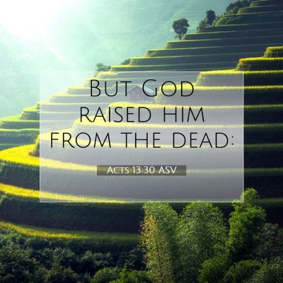Picture 07 - Acts 13:30 ASV - But God raised him from the - Bible Verse Picture