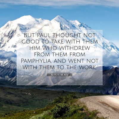 Picture 07 - Acts 15:38 ASV - But Paul thought not good to take with them him - Bible Verse Picture