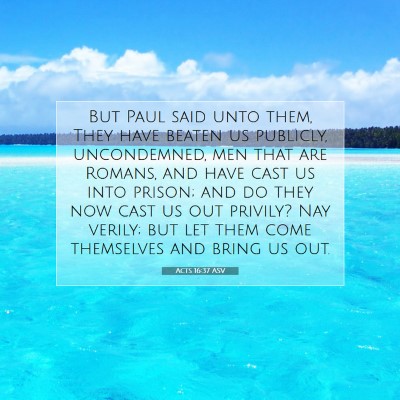 Picture 07 - Acts 16:37 ASV - But Paul said unto them, They have beaten us - Bible Verse Picture