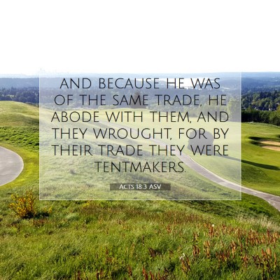 Picture 07 - Acts 18:3 ASV - and because he was of the same trade, he abode - Bible Verse Picture