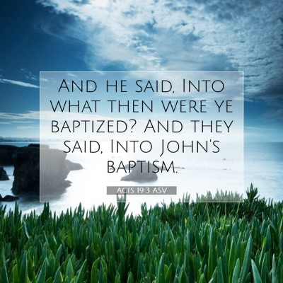 Picture 07 - Acts 19:3 ASV - And he said, Into what then were ye baptized? And - Bible Verse Picture