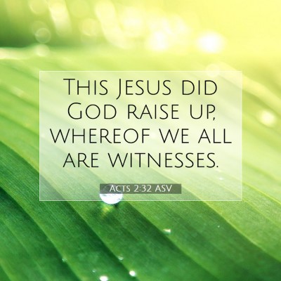 Picture 07 - Acts 2:32 ASV - This Jesus did God raise up, whereof we all are - Bible Verse Picture