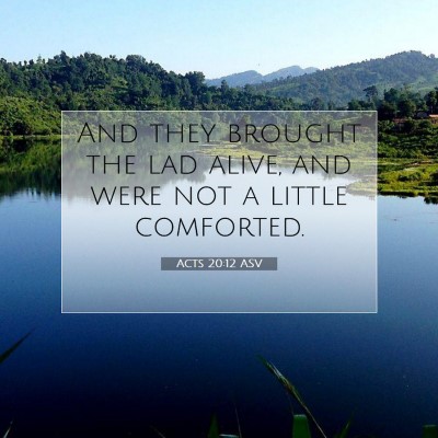 Picture 07 - Acts 20:12 ASV - And they brought the lad alive, and were not a - Bible Verse Picture