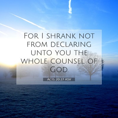 Picture 07 - Acts 20:27 ASV - For I shrank not from declaring unto you the - Bible Verse Picture