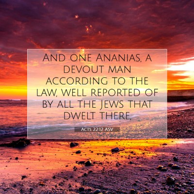 Picture 07 - Acts 22:12 ASV - And one Ananias, a devout man according to the - Bible Verse Picture