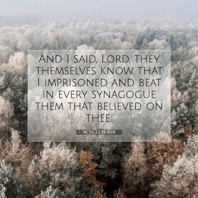 Picture 07 - Acts 22:19 ASV - And I said, Lord, they themselves know that I - Bible Verse Picture