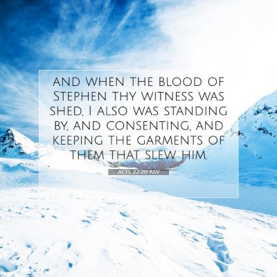 Picture 07 - Acts 22:20 ASV - and when the blood of Stephen thy witness was - Bible Verse Picture