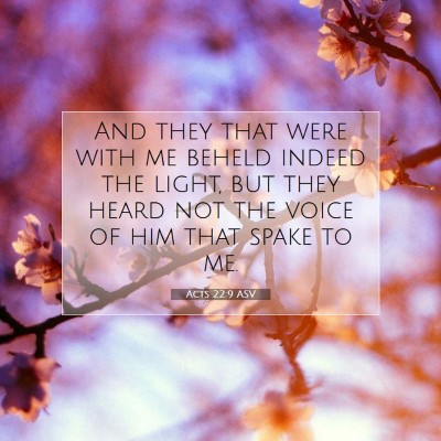 Picture 07 - Acts 22:9 ASV - And they that were with me beheld indeed the - Bible Verse Picture
