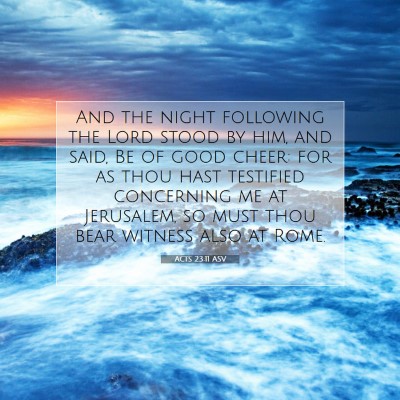 Picture 07 - Acts 23:11 ASV - And the night following the Lord stood by him, - Bible Verse Picture