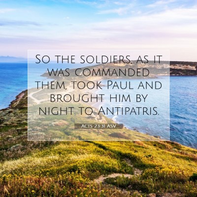 Picture 07 - Acts 23:31 ASV - So the soldiers, as it was commanded them, took - Bible Verse Picture
