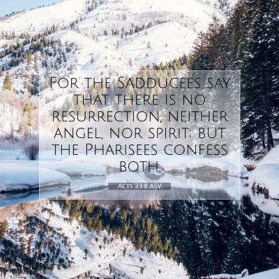 Picture 07 - Acts 23:8 ASV - For the Sadducees say that there is no - Bible Verse Picture