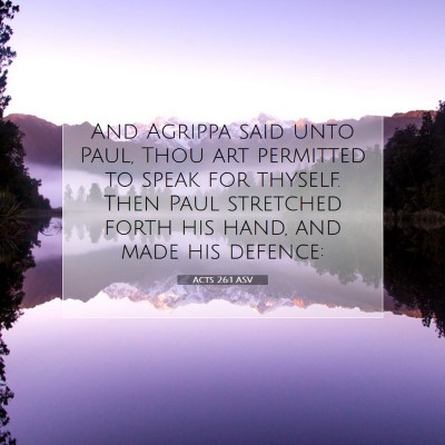 Picture 07 - Acts 26:1 ASV - And Agrippa said unto Paul, Thou art permitted to - Bible Verse Picture