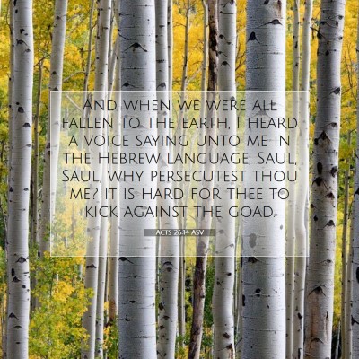Picture 07 - Acts 26:14 ASV - And when we were all fallen to the earth, I heard - Bible Verse Picture