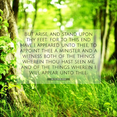 Picture 07 - Acts 26:16 ASV - But arise, and stand upon thy feet: for to this - Bible Verse Picture