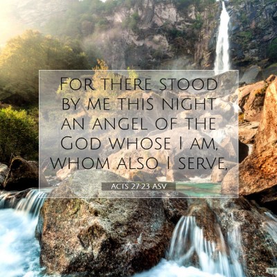 Picture 07 - Acts 27:23 ASV - For there stood by me this night an angel of the - Bible Verse Picture