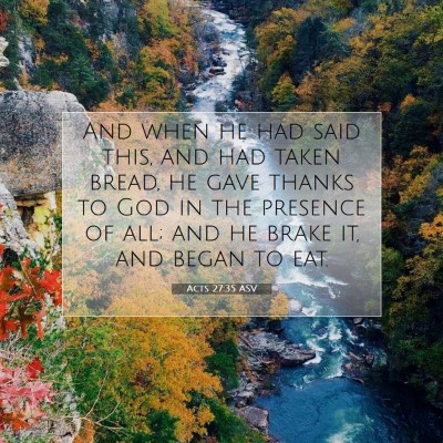 Picture 07 - Acts 27:35 ASV - And when he had said this, and had taken bread, - Bible Verse Picture