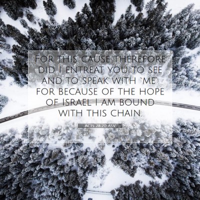 Picture 07 - Acts 28:20 ASV - For this cause therefore did I entreat you to see - Bible Verse Picture
