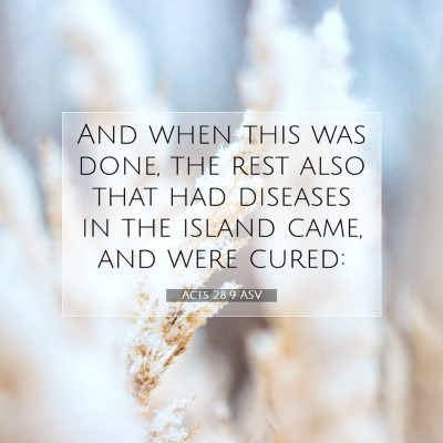 Picture 07 - Acts 28:9 ASV - And when this was done, the rest also that had - Bible Verse Picture