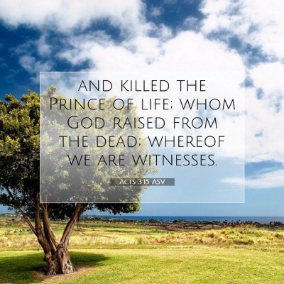 Picture 07 - Acts 3:15 ASV - and killed the Prince of life; whom God raised - Bible Verse Picture