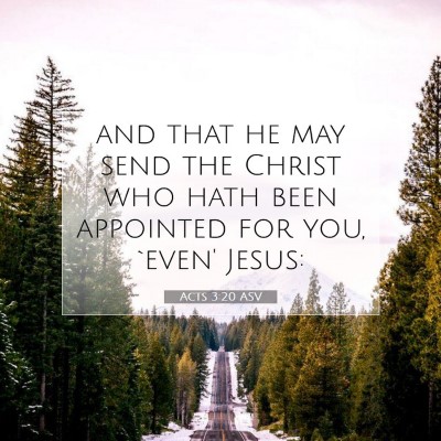 Picture 07 - Acts 3:20 ASV - and that he may send the Christ who hath been - Bible Verse Picture