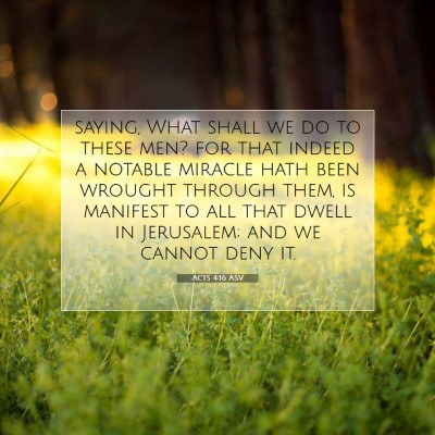 Picture 07 - Acts 4:16 ASV - saying, What shall we do to these men? for that - Bible Verse Picture