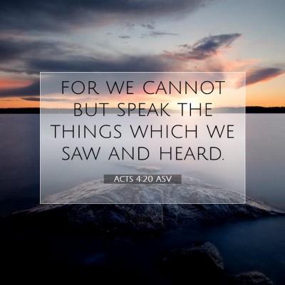 Picture 07 - Acts 4:20 ASV - for we cannot but speak the things which we saw - Bible Verse Picture
