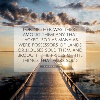 Picture 07 - Acts 4:34 ASV - For neither was there among them any that lacked: - Bible Verse Picture