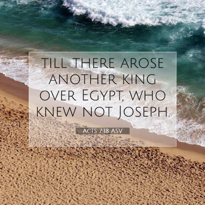 Picture 07 - Acts 7:18 ASV - till there arose another king over Egypt, who - Bible Verse Picture