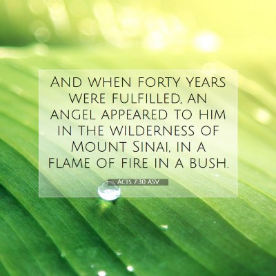 Picture 07 - Acts 7:30 ASV - And when forty years were fulfilled, an angel - Bible Verse Picture