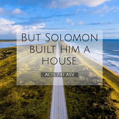 Picture 07 - Acts 7:47 ASV - But Solomon built him a - Bible Verse Picture