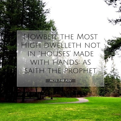 Picture 07 - Acts 7:48 ASV - Howbeit the Most High dwelleth not in `houses' - Bible Verse Picture